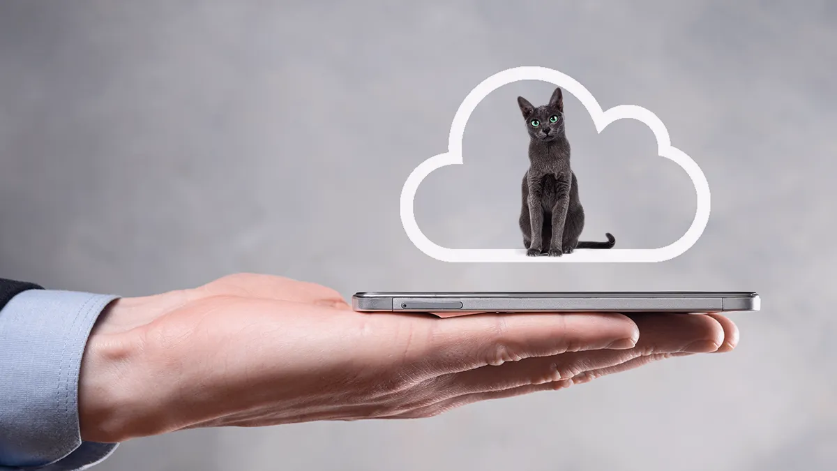 Quantum Computing: Where Schrödinger’s Cat gets cozy in the Cloud