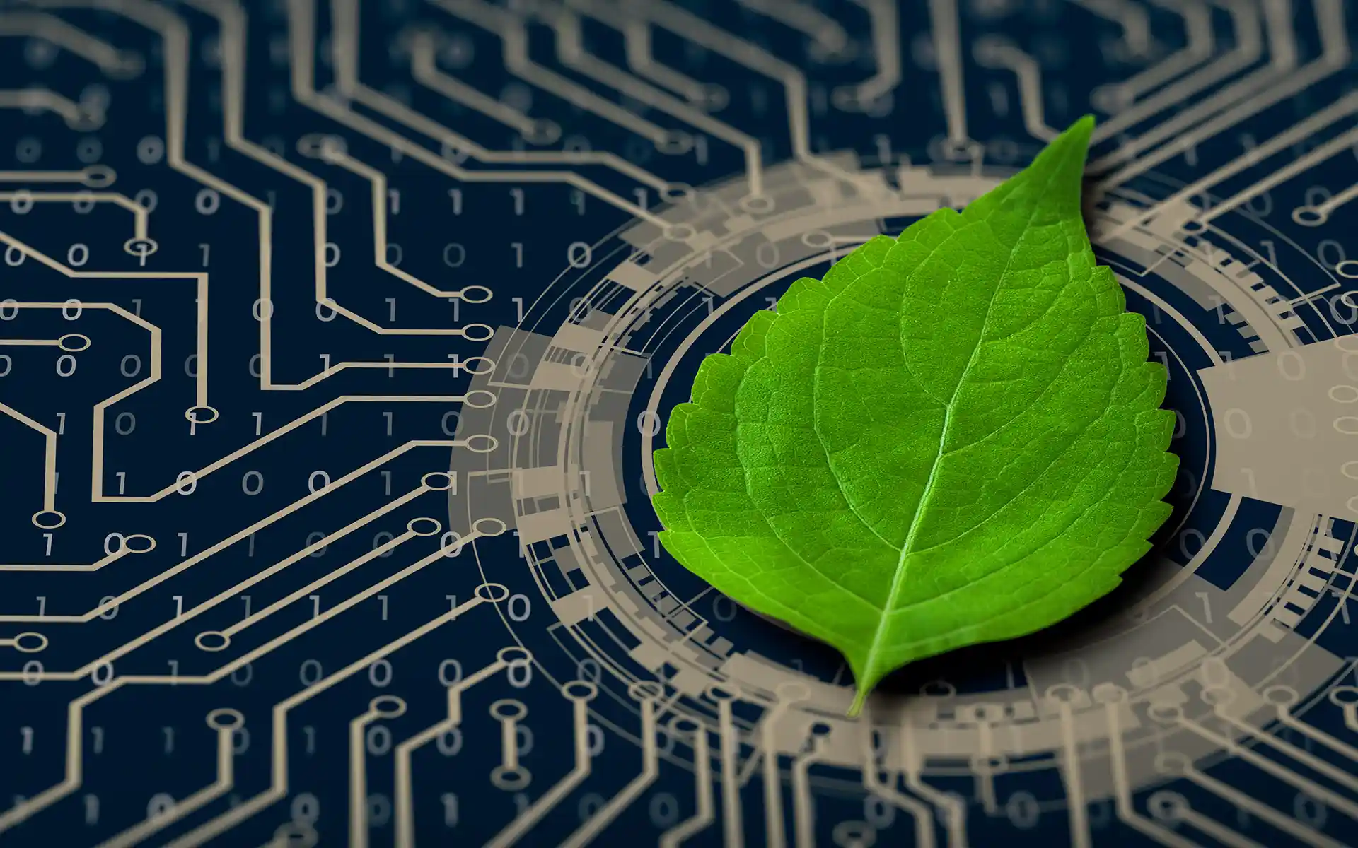 main - success story Impact Clean Technology