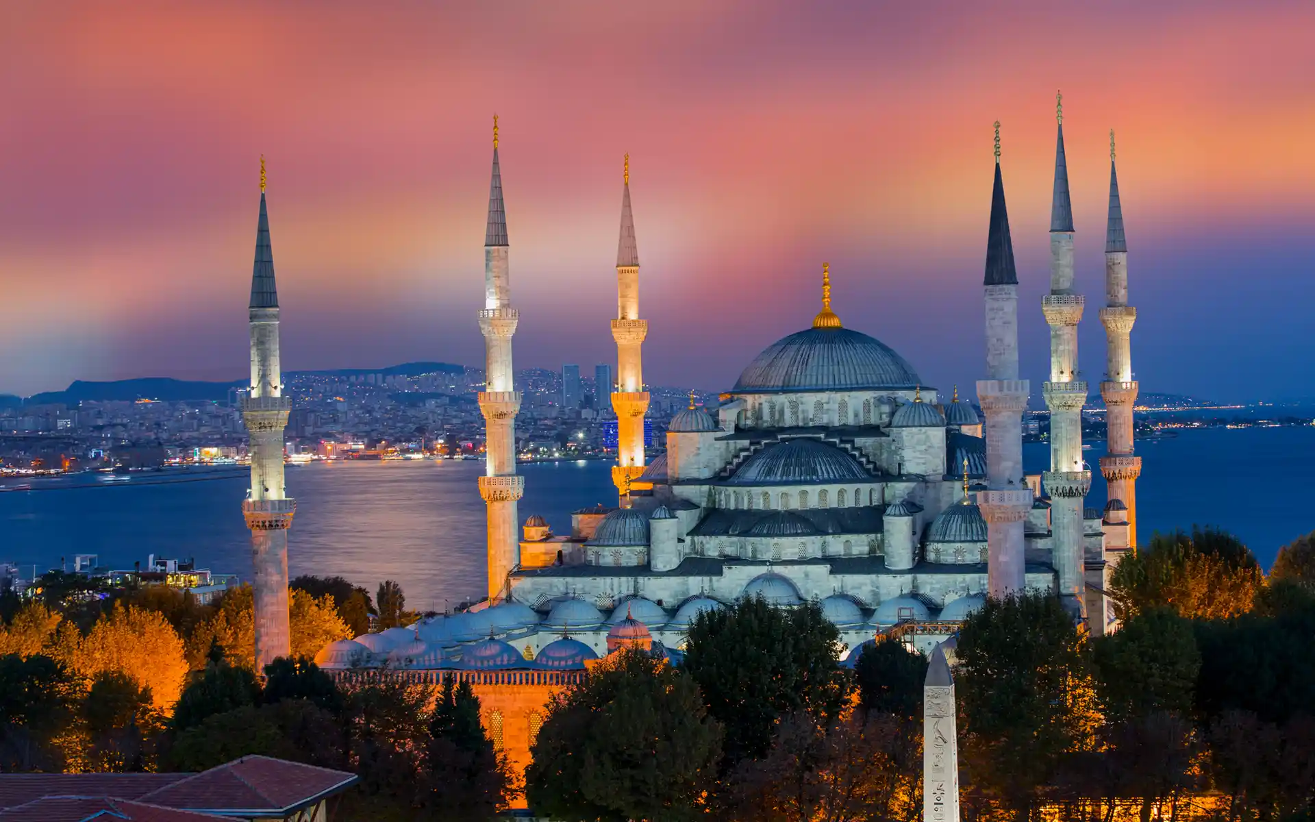 TT PSC Expands Global Reach with New Istanbul Office