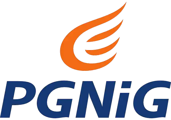 Partner PGNiG logo