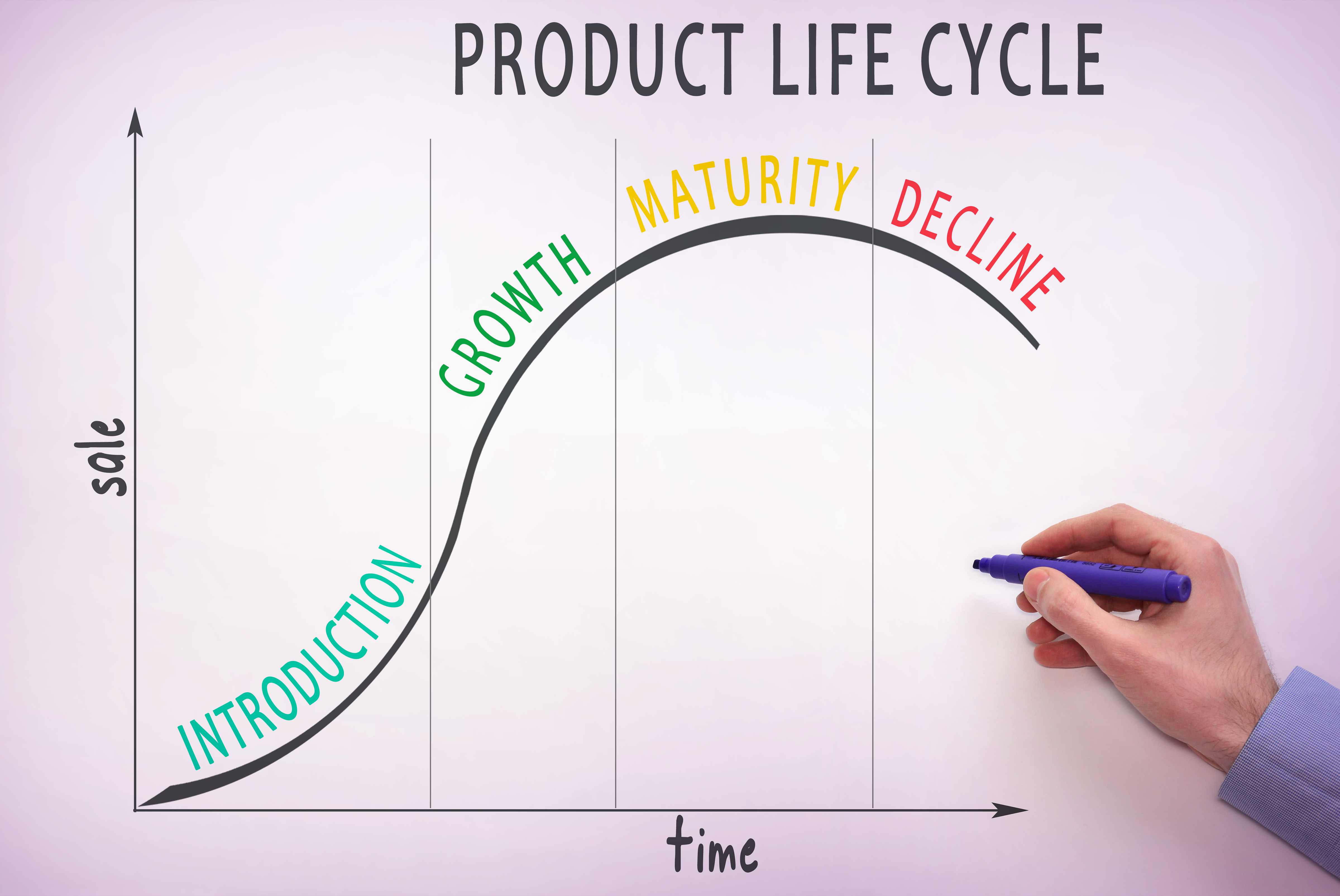 Jak wygląda cykl życia produktu
