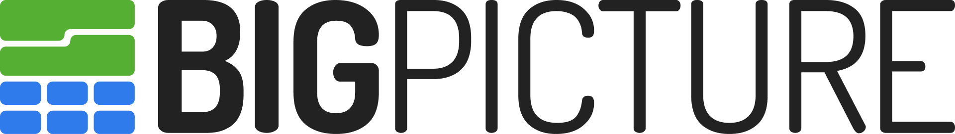 BigPicture logo